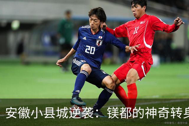 安徽小县城逆袭：镁都的神奇转身